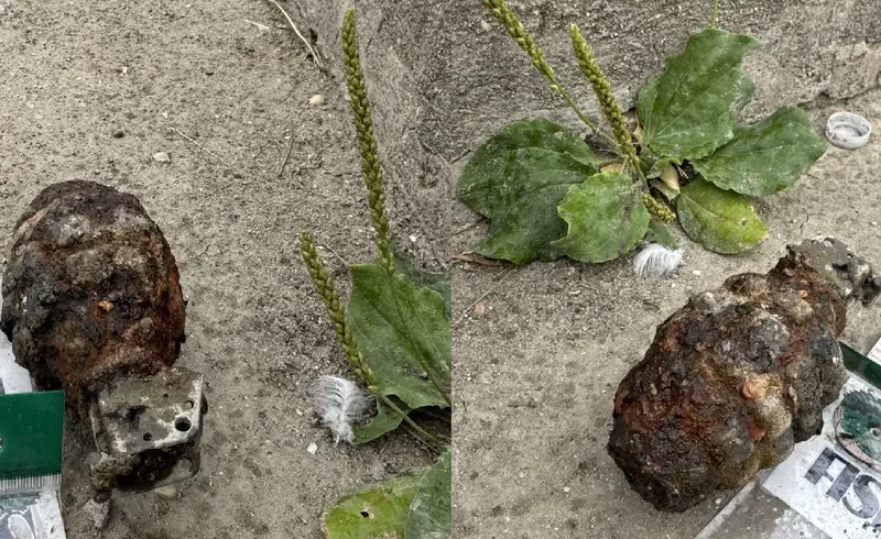 Angler reels in training grenade from Red River in Selkirk: RCMP