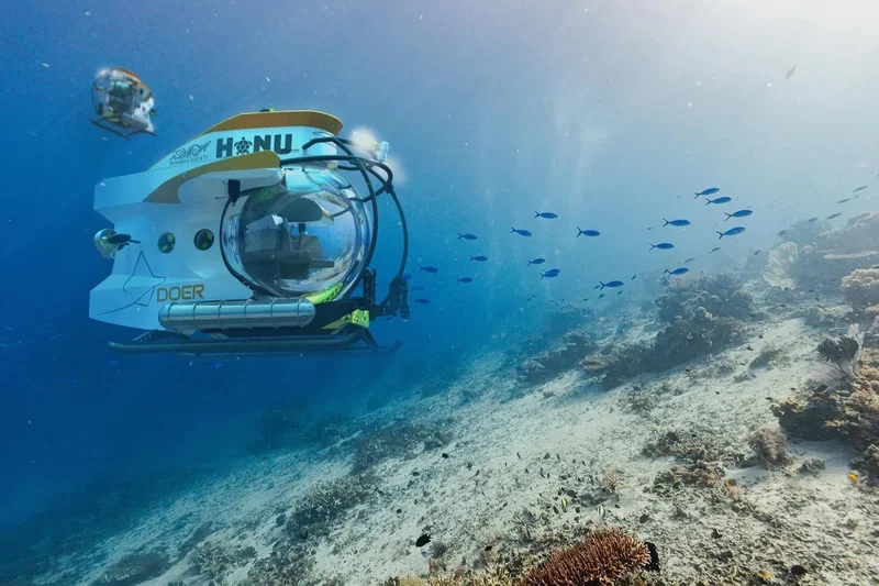 The Titan disaster was an anomaly — submersibles are ‘safer than flying’ and can save our dying oceans, expert says