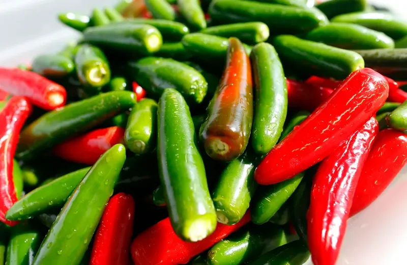 Hundreds Sickened By Jalapeños Served At Chipotle And QDoba