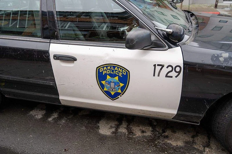 Child driving car strikes woman walking dog in California, police say