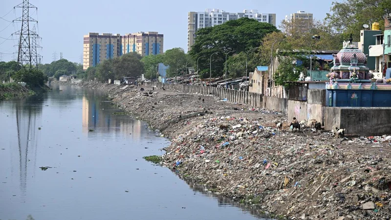 T.N. Budget promises fresh push for Cooum, Adyar rivers restoration