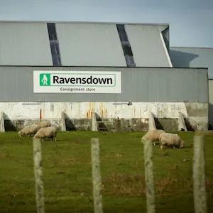 Ravensdown’s return to profit prompts shareholder rebate as fertiliser prices spike on-farm