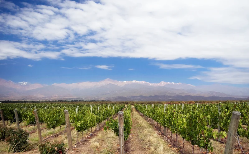 What Is On in Mendoza This Friday, From a Soda Stereo Show to Free Stand-Up