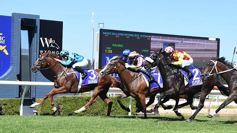 Tips and race-by-race guide for Wyong on Sunday