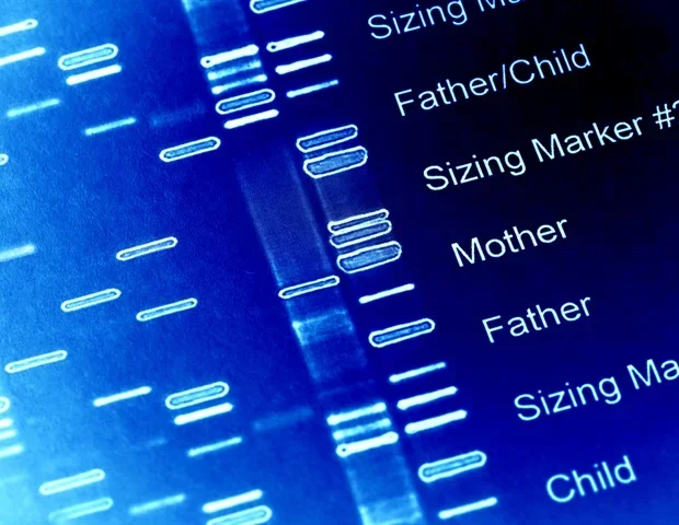 Penn State study identifies genetic regions linked to avian herpesvirus virulence