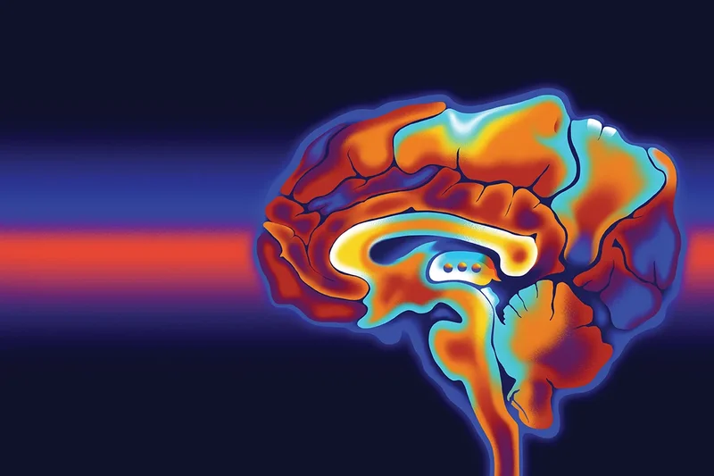 The brain doesn’t just experience reality. It edits it into a story