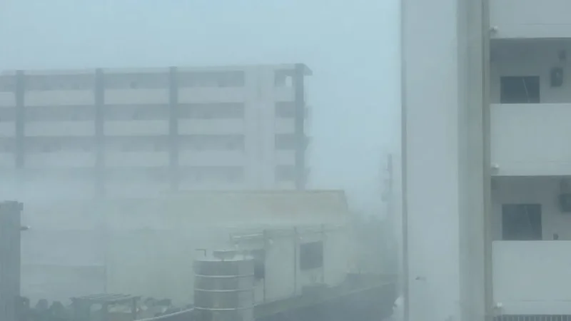 Typhoon Dolphin hurtles towards Japan: Tracker, updates and what to expect