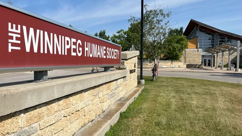 Winnipeg shelters see increase in pet surrenders due to high vet costs