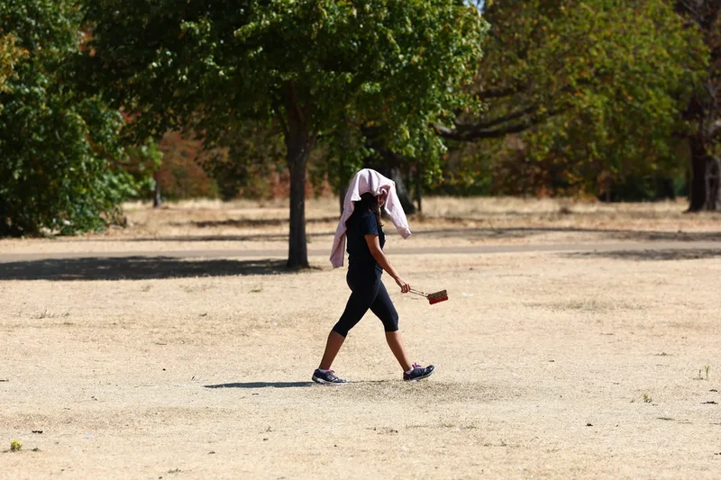 Drought expected to be declared in more parts of England as another heatwave looms