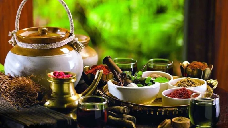 Separate AYUSH University will marginalise AYUSH sector, claims ayurveda college teachers’ body