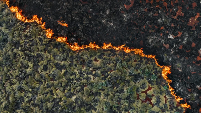 Senators demand crackdown on wildfire "prediction markets"