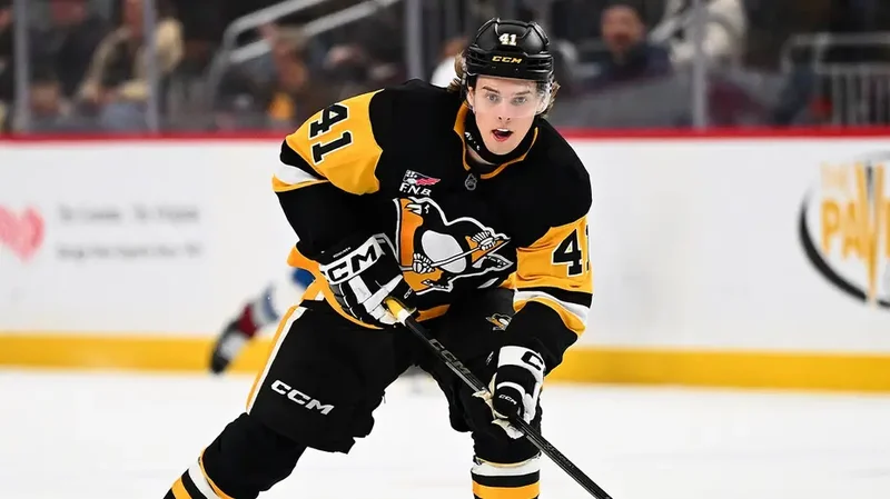 The Pittsburgh Penguins may have just given out one of the riskiest contracts in NHL history