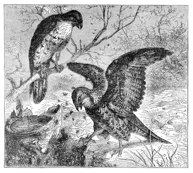 September 2026: Science history from 50, 100 and 150 years ago