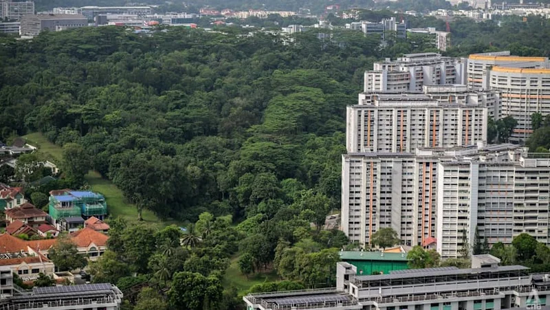 Commentary: Forests vs flats? Singapore’s land development debate needs to move beyond that