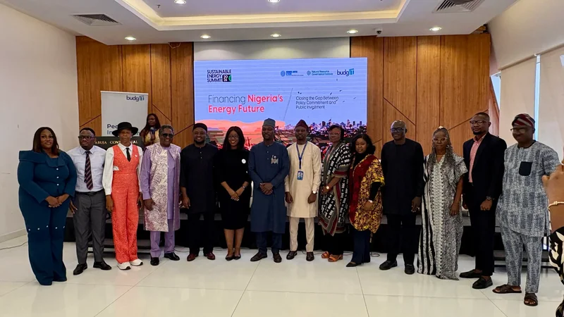 Energy Transition: Nigeria must turn policies into bankable projects — official