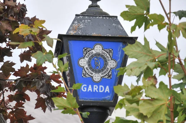 Garda staffing pressures and lack of national children’s plan highlighted in watchdog report