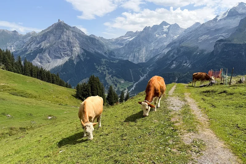 Another Swiss beauty spot could be buried under rubble – here’s why