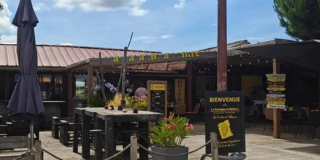 The delicate oysters of Viktoria and Nicolas Courbin's shack in Gujan-Mestras, Gironde