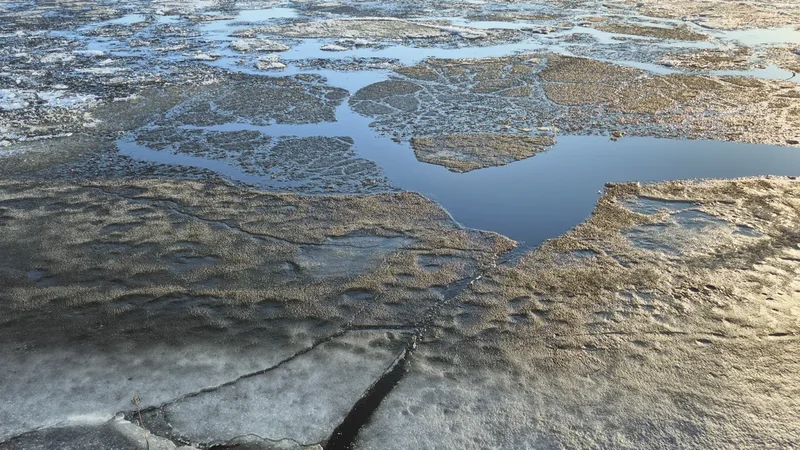 It’s 90 degrees in the Arctic right now