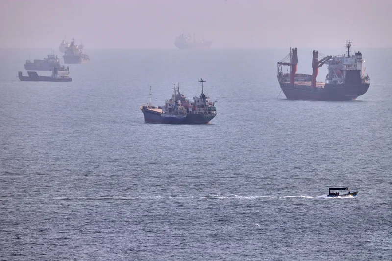 Ships stuck in the Strait of Hormuz risk creating global biosecurity ‘super-spreader’ event