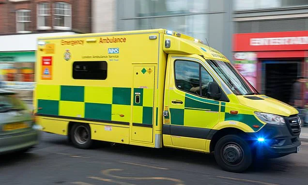 Patients dialling 999 in a heatwave could have to wait for temperatures to drop before an ambulance arrives under union plans to stop crews working in hot weather