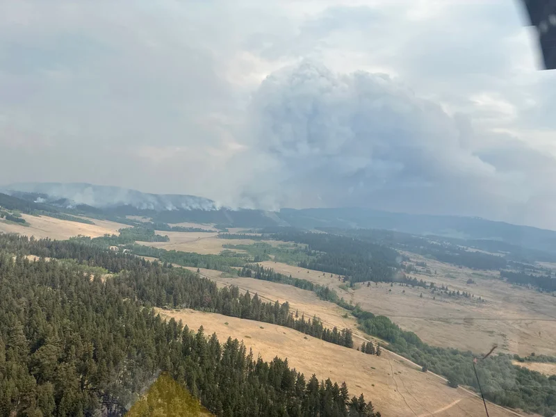 How to stay safe from wildfire smoke, according to our experts