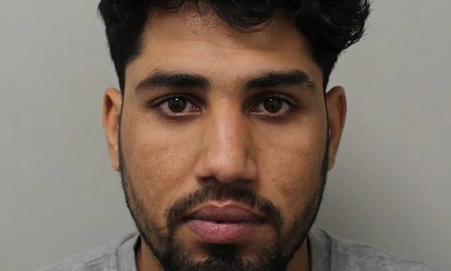 Two illegal immigrants raped woman at knifepoint while she was star gazing in a park on first date with another man