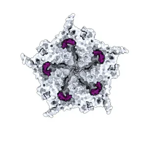 This AI just created viruses not found in nature