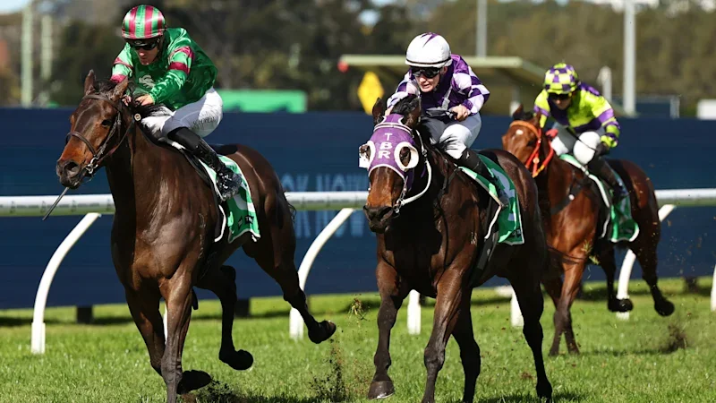 Tips and previews for racing at Rosehill on Saturday