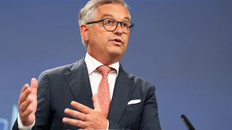 Replay: EU Commissioner for Internal Affairs and Migration addresses Ceuta incident