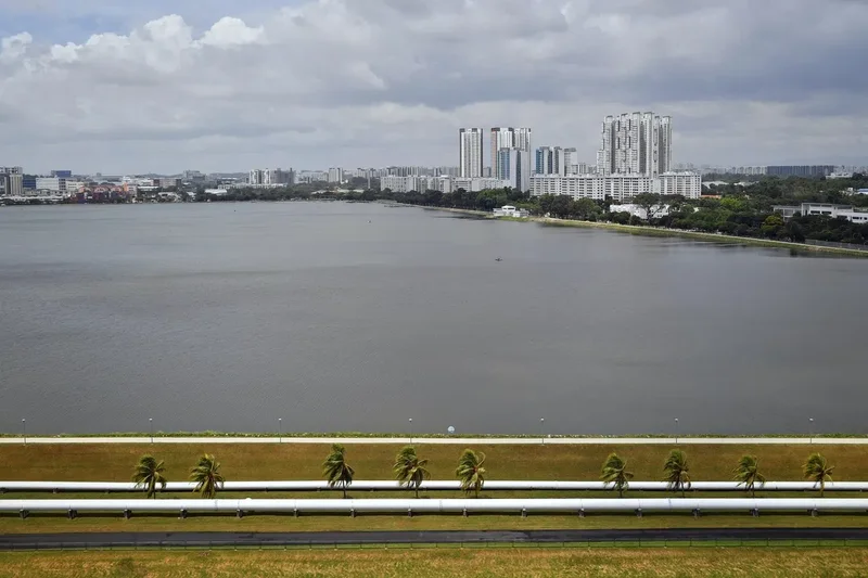 Search ongoing after crocodile sighted at Pandan Reservoir; water activities suspended