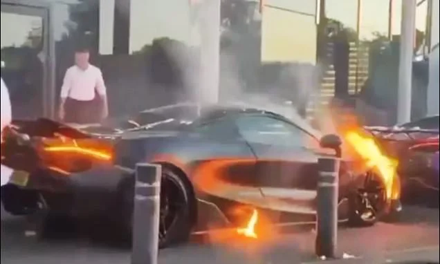 Moment supercars are set ablaze in wedding petrol bomb attack: Three men throw missiles at luxury cars and guests as they dined at Birmingham banqueting hall