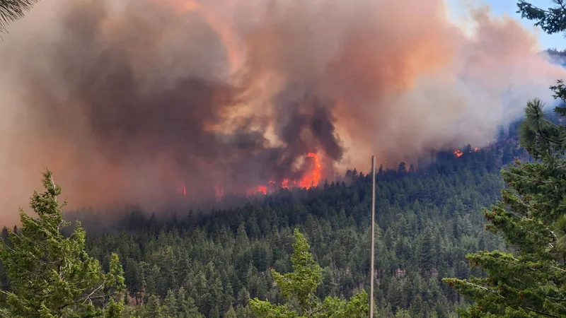 B.C. fire evacuees turn to social media for information