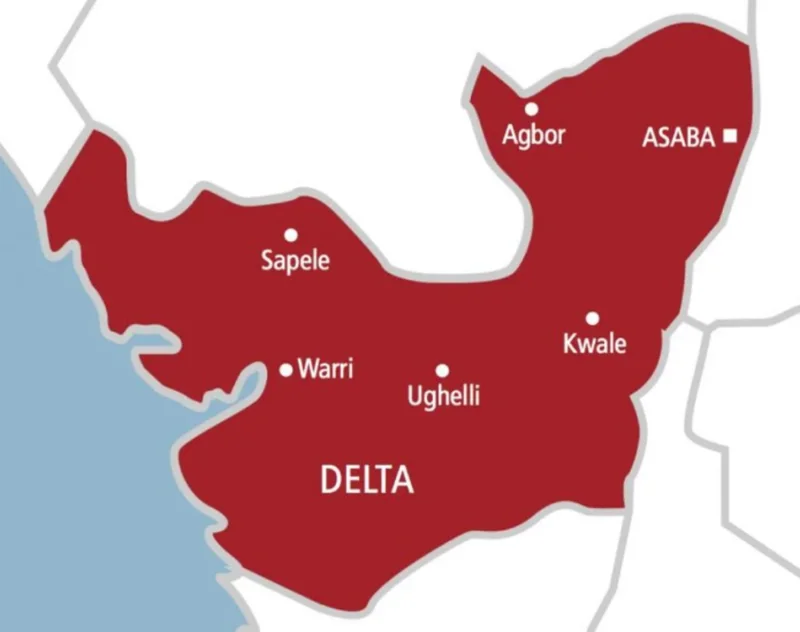 Vandal dies under collapsed transmission tower in Delta