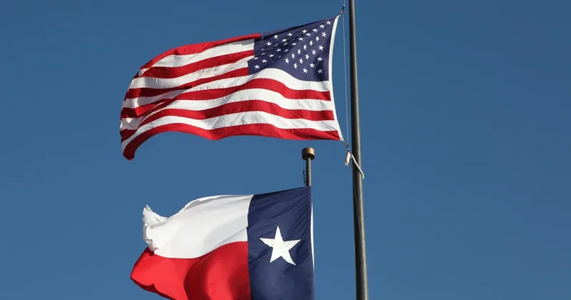 Baby with heart defect carried by surrogate must receive care, Texas court says