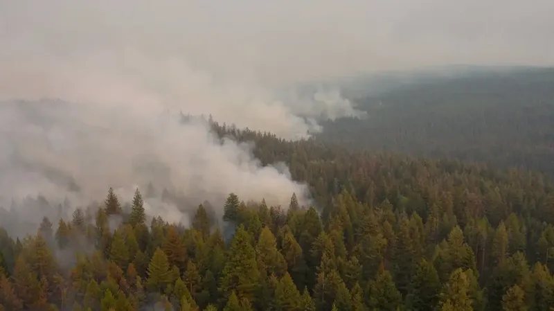 Activity picks up on the Bald Range wildfire near Summerland, Peachland