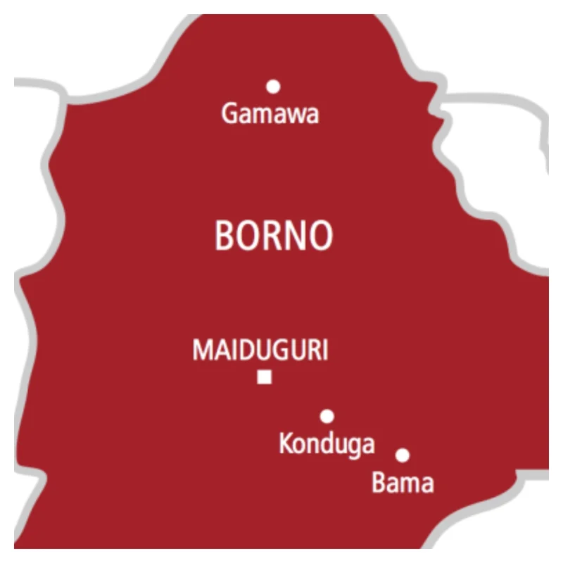 Military air strike neutralises eight suspected ISWAP fighters in Borno