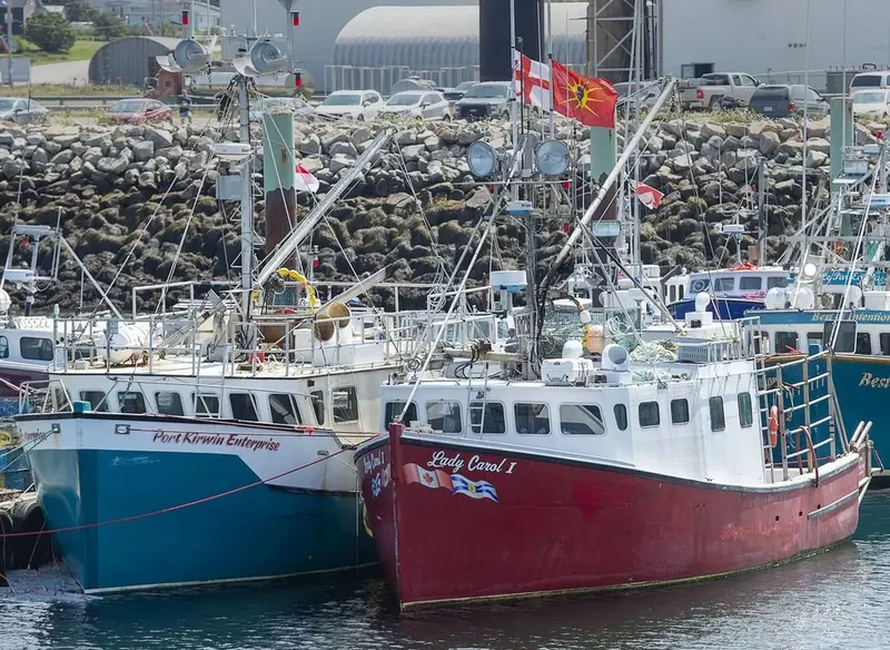 N.S. fishers plan appeal after court dismisses lobster treaty rights case