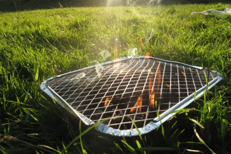 The British summer essential being banned from some parks and beaches