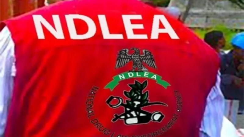 Italy based businessman excretes 98 wraps of cocaine – NDLEA