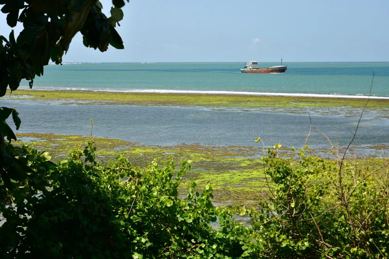 Tanzania Pledges Cargo Scanner for Zanzibar’s Fumba Port