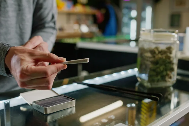 Cannabis use in your 20s and 30s linked to earlier onset of psychosis, study finds