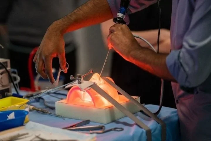 New 3D models will help dentists master complex procedures