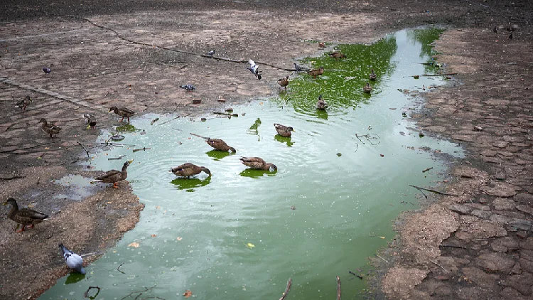 UK forecasts 'biggest' El Nino will smash records, spark hottest year