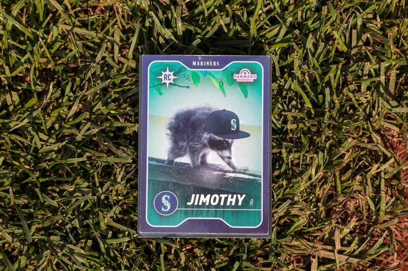 The inspiring survival of Jimothy, the hunchbacked raccoon who conquered Seattle
