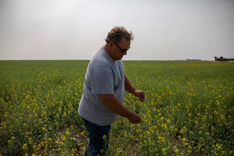 Saskatchewan farmer and senator Todd Lewis passes away at 65