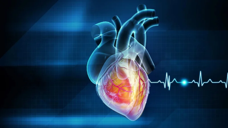 Scientists reveal how much exercise you really need to protect your heart