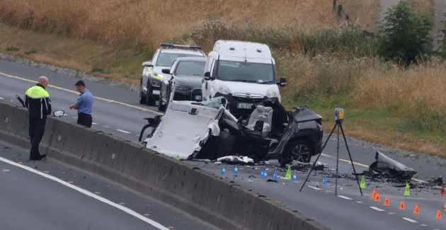 Concerns flagged over ability to deliver on promise of garda pursuit training this year