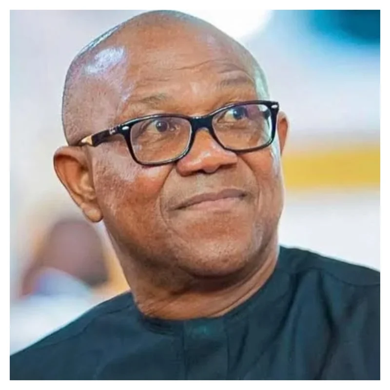 2027: Danbature, analysts clash over Peter Obi’s chances in Northern Nigeria