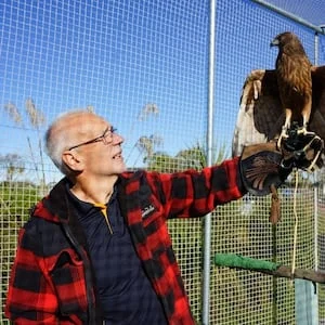 NZ Raptor Trust: Timaru bird rescue releases 175 injured raptors in 10 years